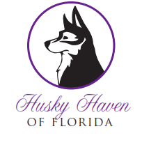 Husky Haven of Florida