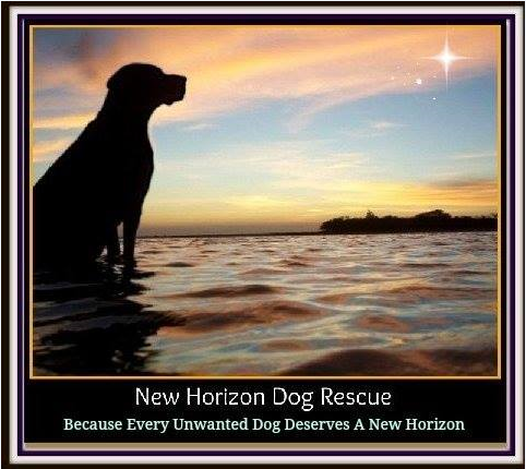 New Horizon Dog Rescue