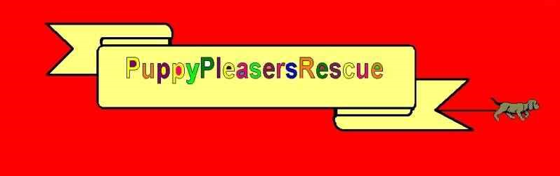Puppy Pleasers Rescue