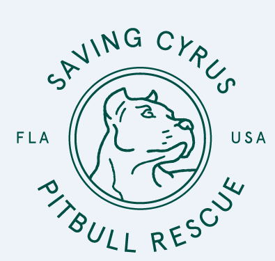 Saving Cyrus Pitbull Rescue