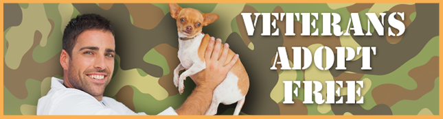 Veterans Adopt for Free 