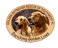 Golden Retriever Rescue of Southwest Florida