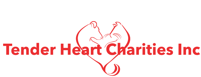 Tender Heart Charities, Inc.