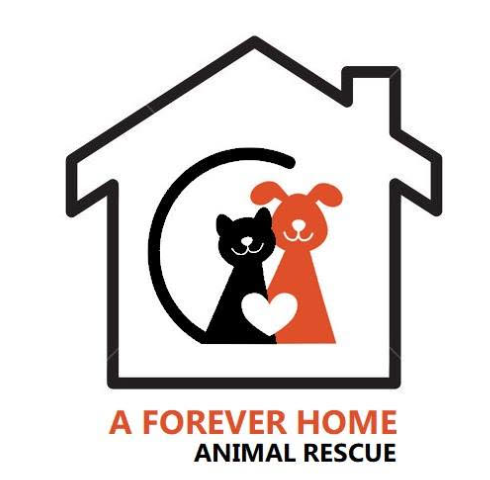 A Forever Home Animal Rescue