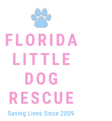 Florida Little Dog Rescue