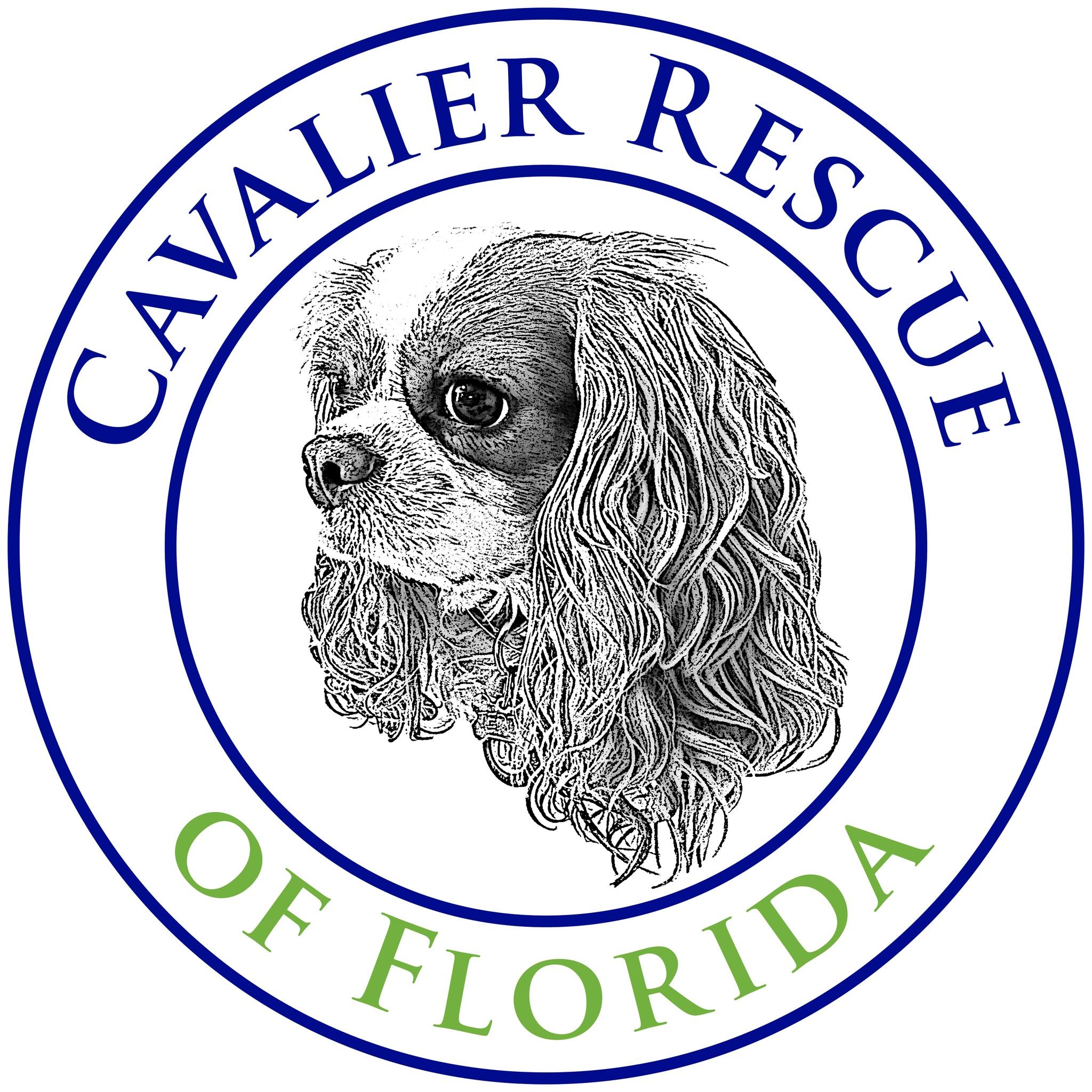 Cavalier Rescue of Florida