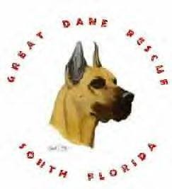 Great Dane Rescue of South Florida