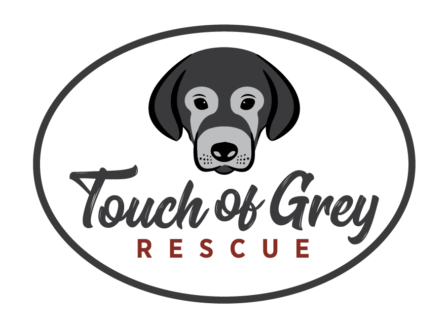 Touch of Grey Rescue