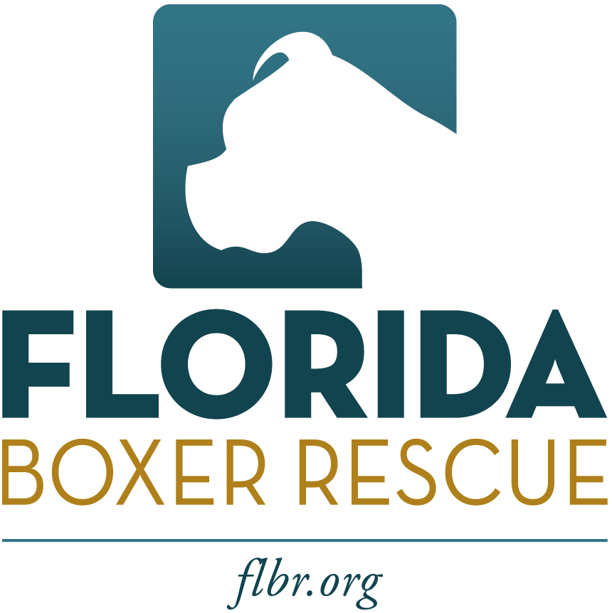 Florida Boxer Rescue