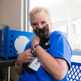 Photo of OCAS technician petting a dog