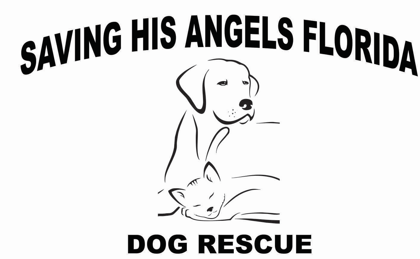 Saving HIS Angels Animal Rescue