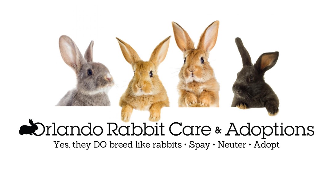 Orlando Rabbit Care and Adoptions, Inc.